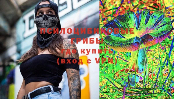 МДПВ Медвежьегорск