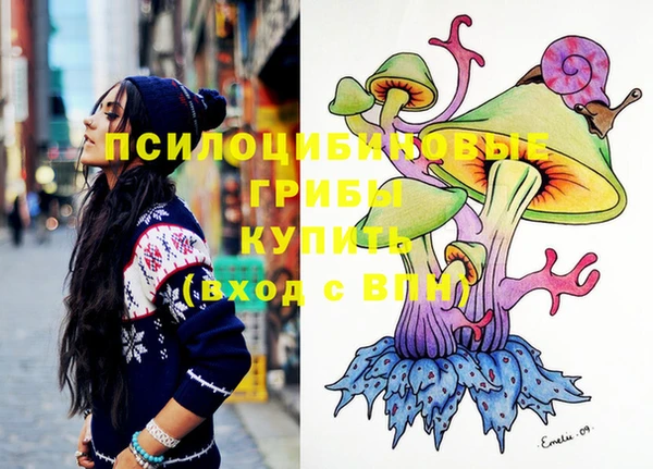 ECSTASY Михайлов