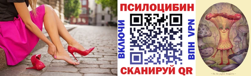 Псилоцибиновые грибы Psilocybine cubensis  Шагонар 